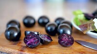 The Purple Tomato, a genetically modified crop created by Norfolk Plant Sciences, is available to home gardeners to start from seed.