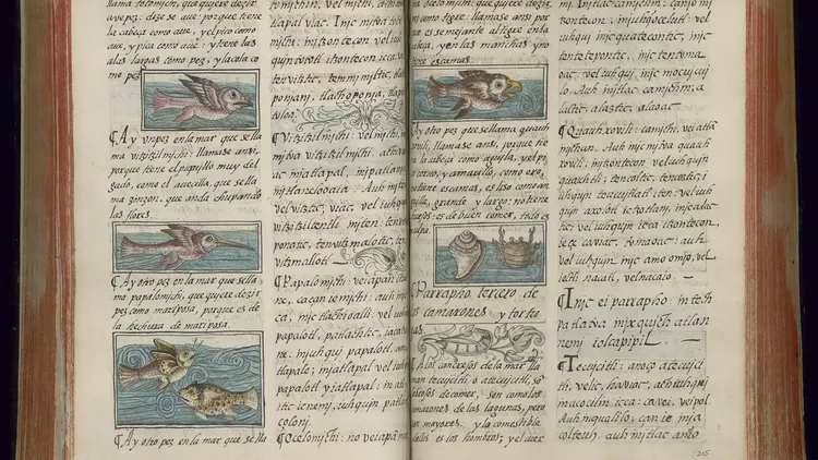 The Florentine Codex contains over 2,500 pages of text and images detailing Nahua civilization from the Indigenous perspective. It’s available digitally thanks to UCLA and the Getty.